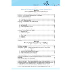 PELVİK SAĞLIKTA FİZYOTERAPİ VE REHABİLİTASYON CİLT 3